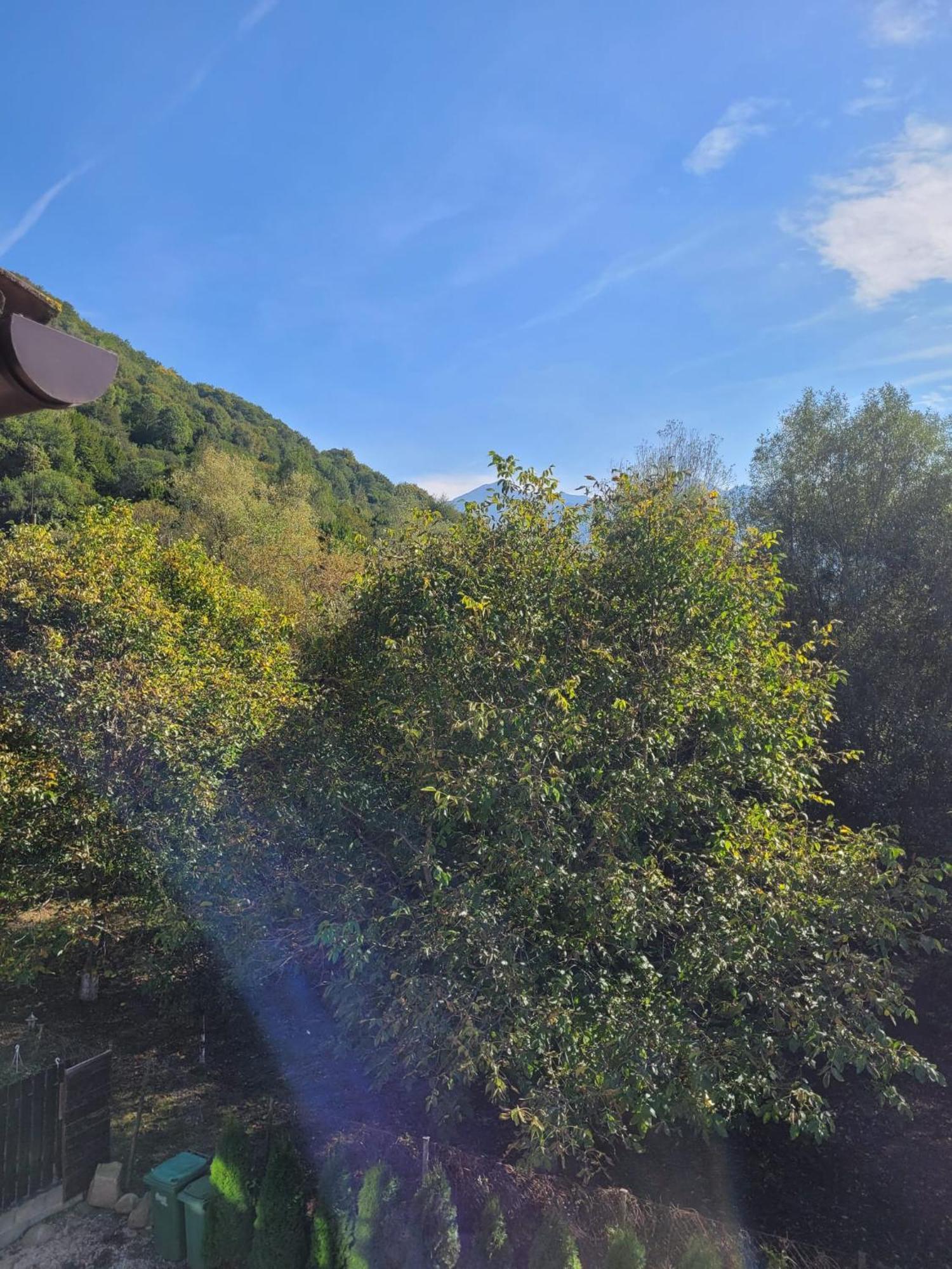 Vila Emma Rîşnov Esterno foto