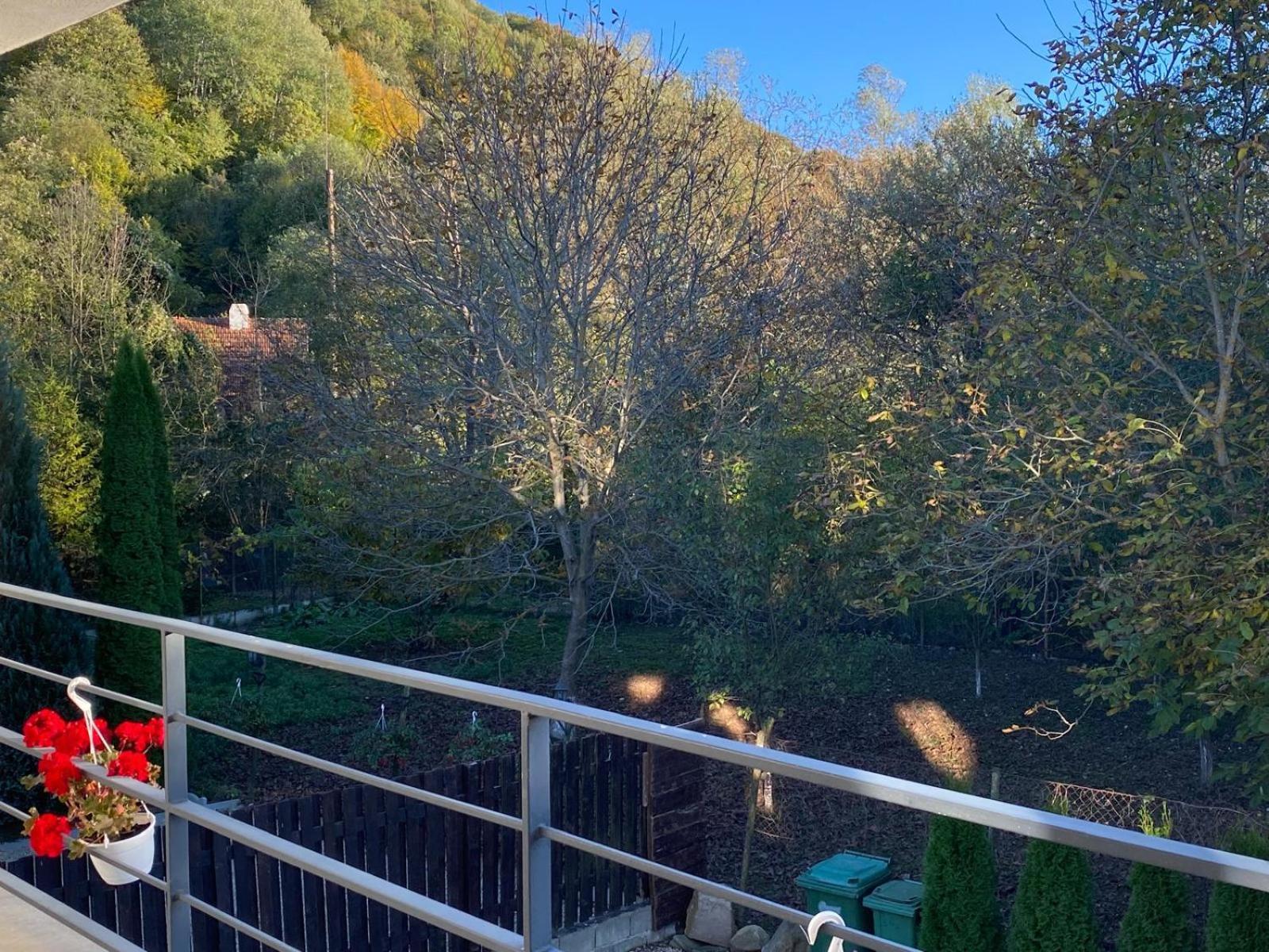 Vila Emma Rîşnov Esterno foto