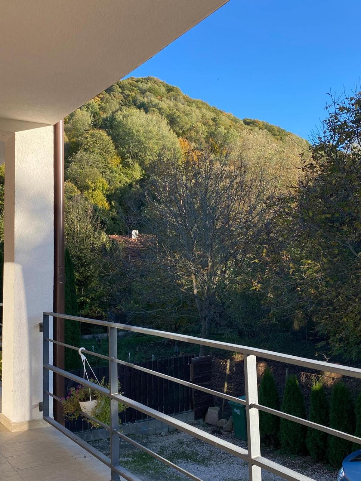 Vila Emma Rîşnov Esterno foto