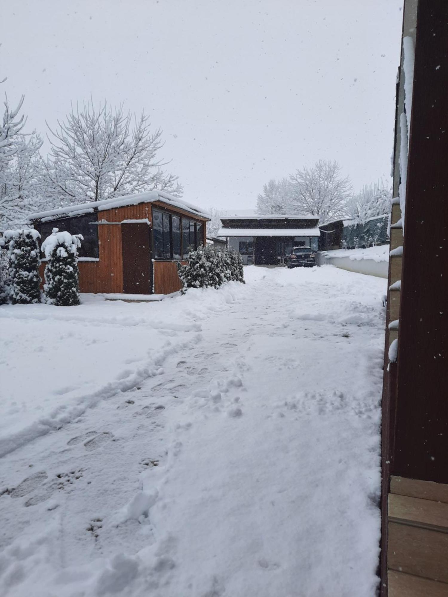 Vila Emma Rîşnov Esterno foto