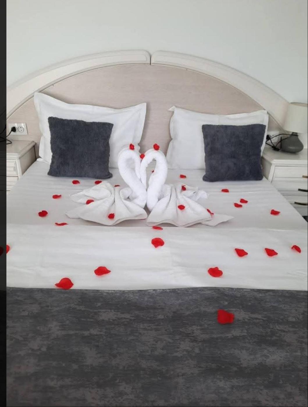 Vila Emma Rîşnov Esterno foto
